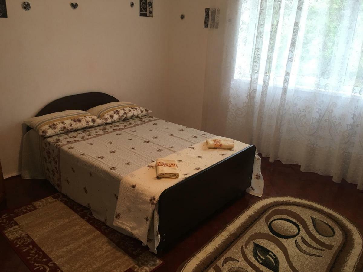 Vila La Izvorul Putinei Haţeg المظهر الخارجي الصورة