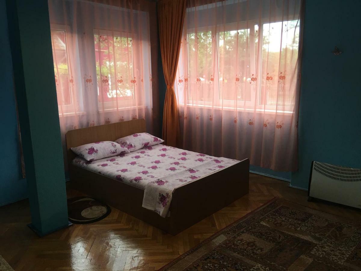 Vila La Izvorul Putinei Haţeg المظهر الخارجي الصورة